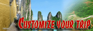 tailor-made tour