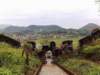 Vietnam Travel 12_small.jpg
