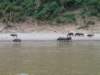 Vietnam Travel 9_small.jpg